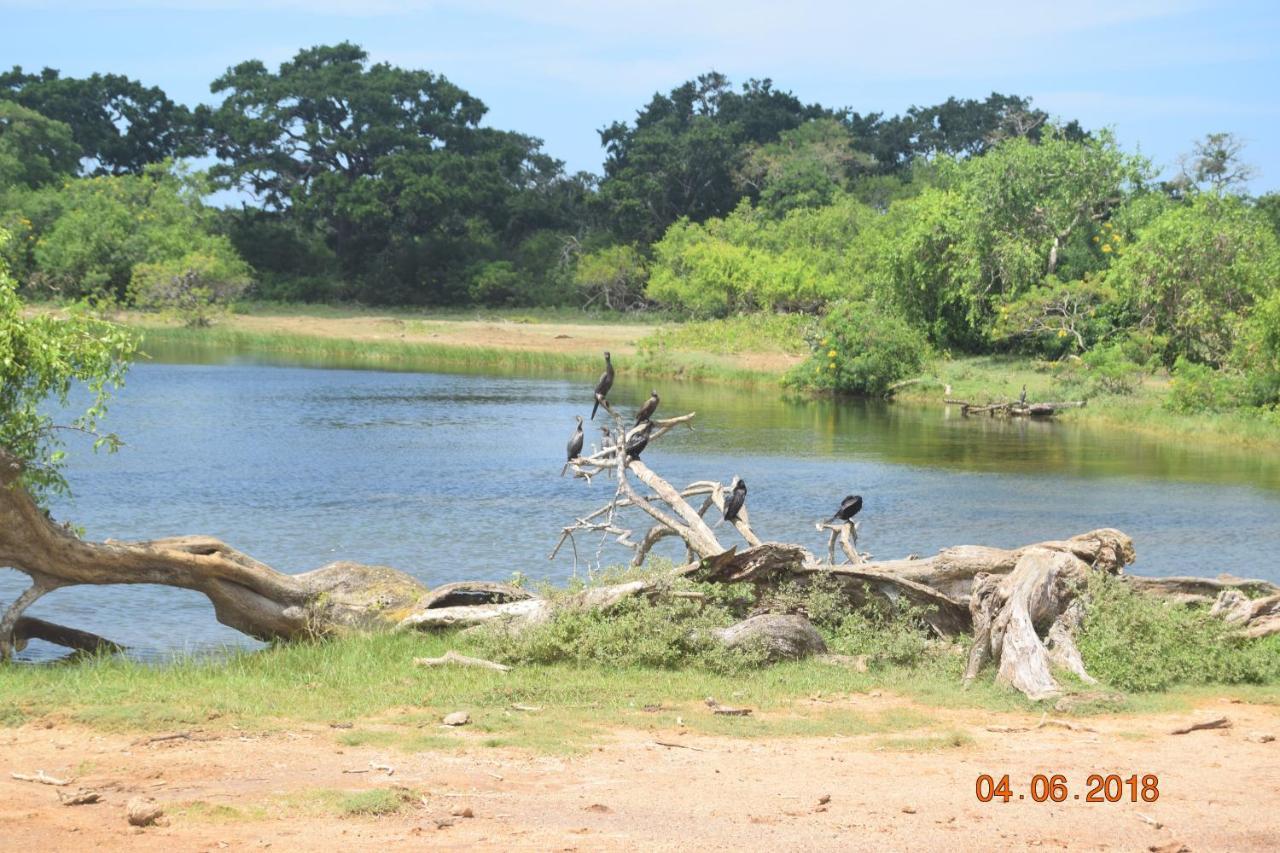 Double Lake View Tissa & Safari ティッサマハーラーマ エクステリア 写真